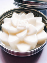 Load image into Gallery viewer, Succulent Bare Lotion Bars
