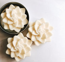 Load image into Gallery viewer, Succulent Bare Lotion Bars
